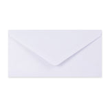 Paper Lined Envelopes