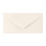 Paper Lined Envelopes
